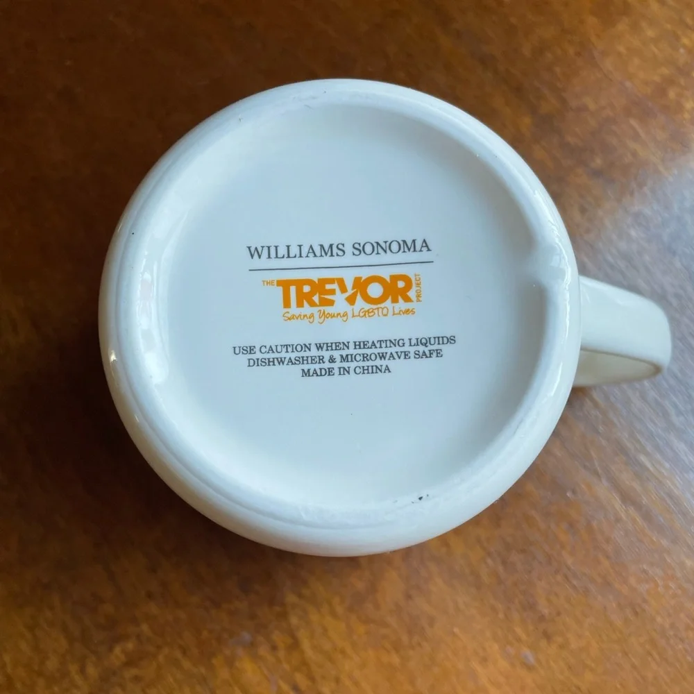 Williams Sonoma Rainbow Pride Star Your Future is Bright ceramic mug